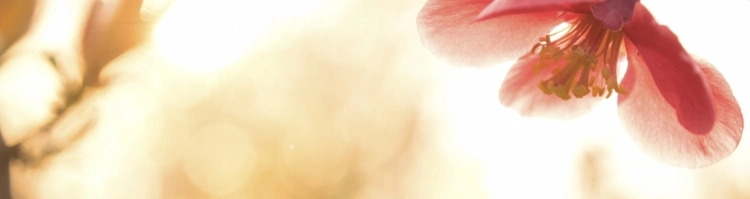 WP 6.1 Font size scale