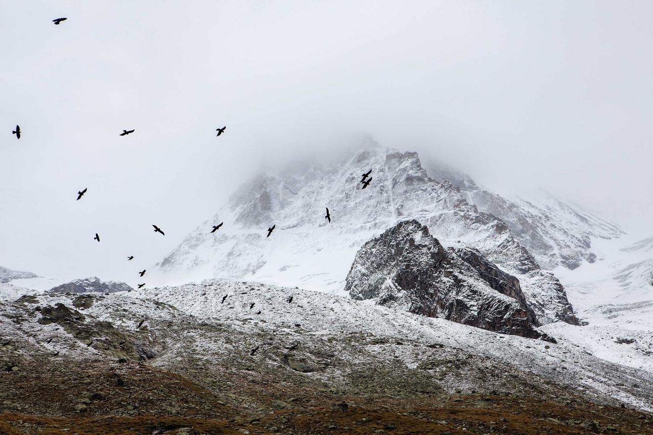 Et aspernatur
